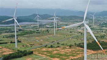 Khơi dậy tiềm năng trung tâm năng lượng tái tạo ở Việt Nam