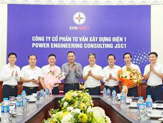 Chủ tịch Hội Đồng Thành Viên EVN tham dự Hội nghị PECC1 và làm việc với lãnh đạo Công ty